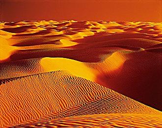 《真女神转生5》即将发售 ATLUS于11月10日推出售前节目 